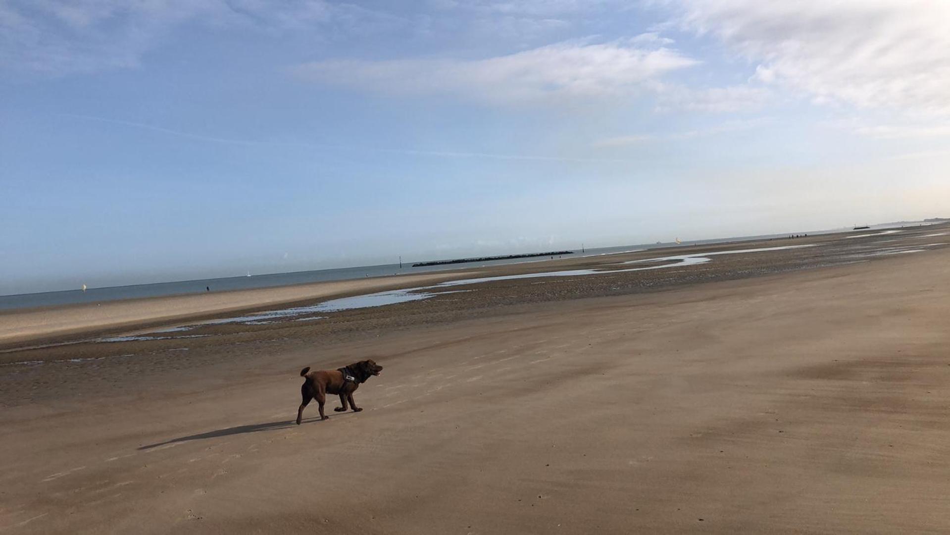 Appartement Sur La Plage De Malo Les Bains Vue Mer Dunkirk Luaran gambar