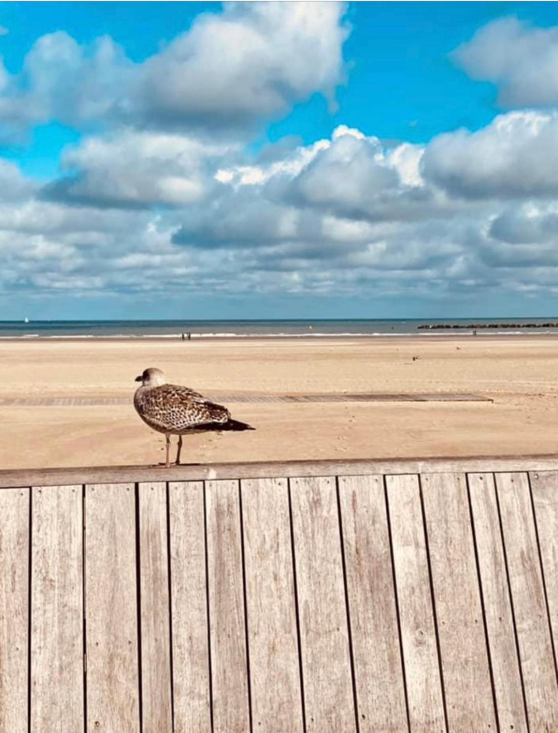 Appartement Sur La Plage De Malo Les Bains Vue Mer Dunkirk Luaran gambar